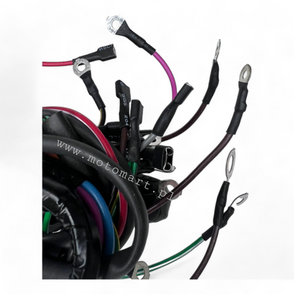 Dniepr MT 12V DNIEPR electrical installation lamp bulb ignition stop